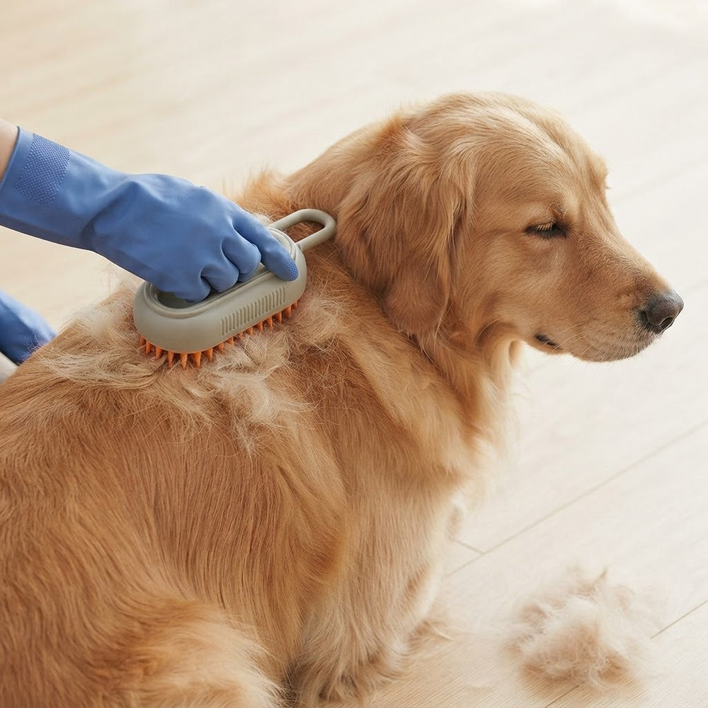 Designed for dogs.
Made for
everyday life.